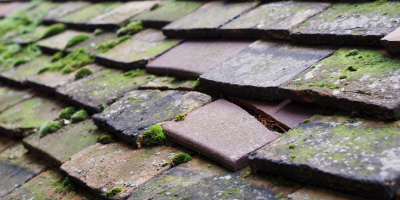 Aperfield roof repair costs